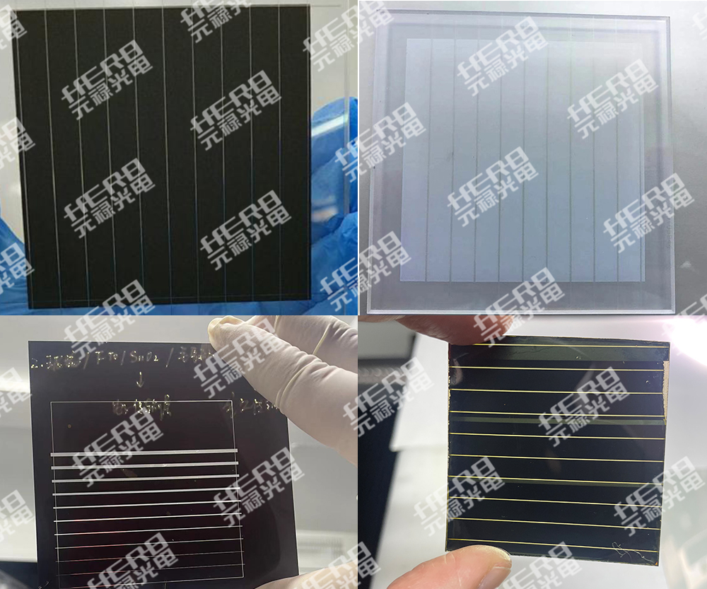 1637895468972388.jpg 未標題-2.jpg